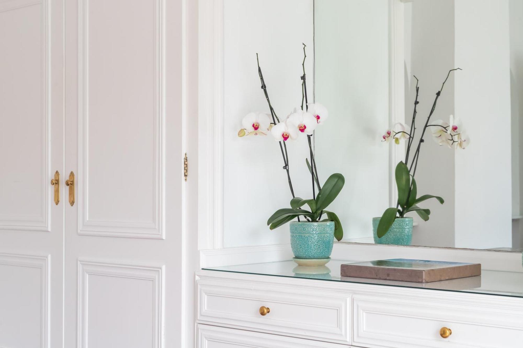 Bed and Breakfast Aurora Boutique House - Only Adults Marbella Esterno foto