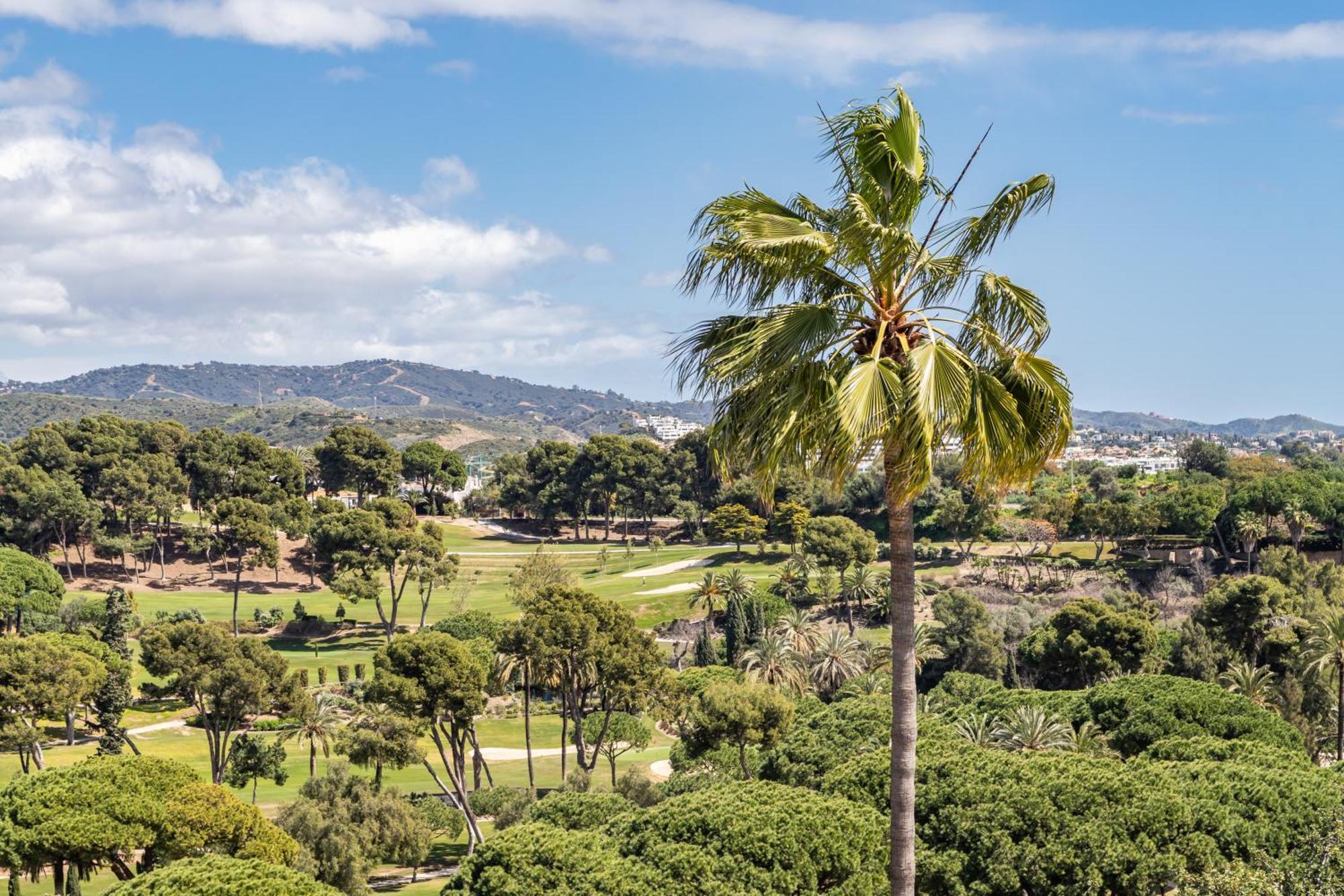 Bed and Breakfast Aurora Boutique House - Only Adults Marbella Esterno foto